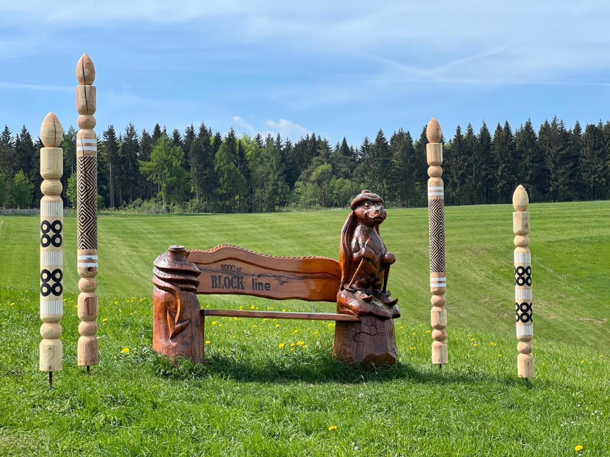 Berghotel Talblick Holzhau Eksteriør billede