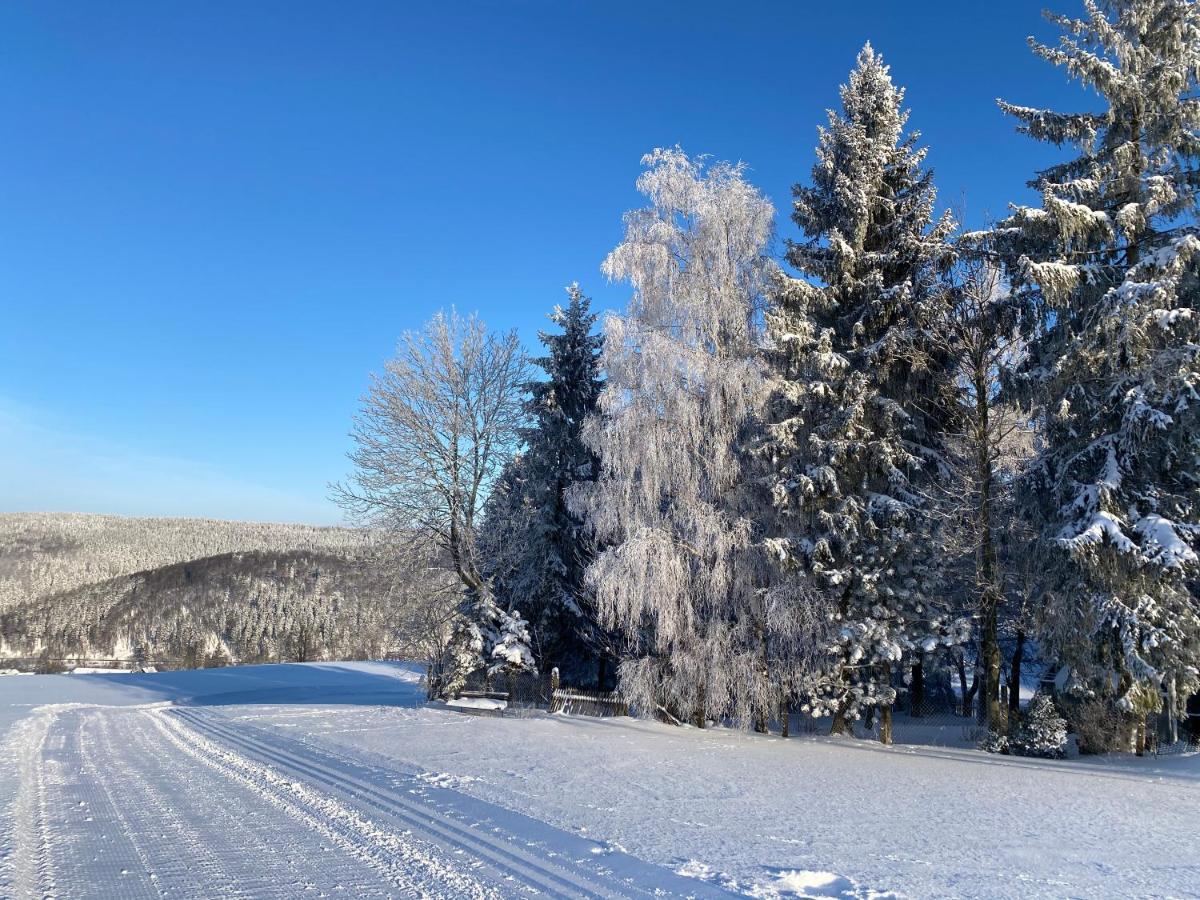 Berghotel Talblick Holzhau Eksteriør billede