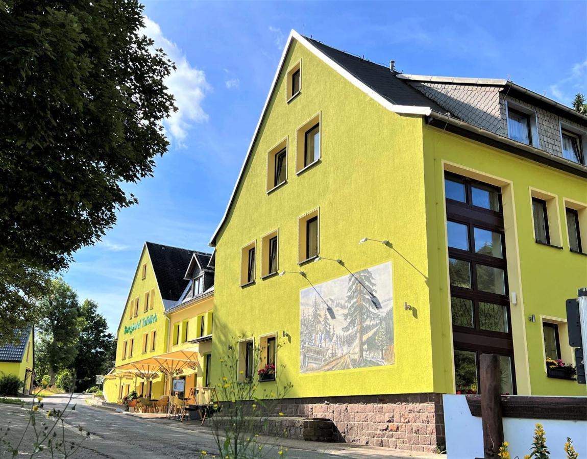 Berghotel Talblick Holzhau Eksteriør billede